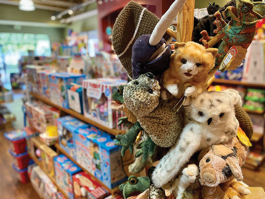 Toy Vendors: Finding the Perfect Playtime Partners for Your Child