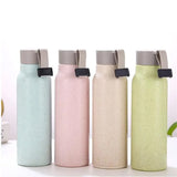 Environment Friendly Double Wall Wheat Straw Bottle Assorted- 400 ml