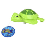 Wind-Up Turtle Kids Toys In Bulk