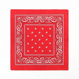 Unisex Paisley Printed Bandanas Headband & Scarfs -Assorted