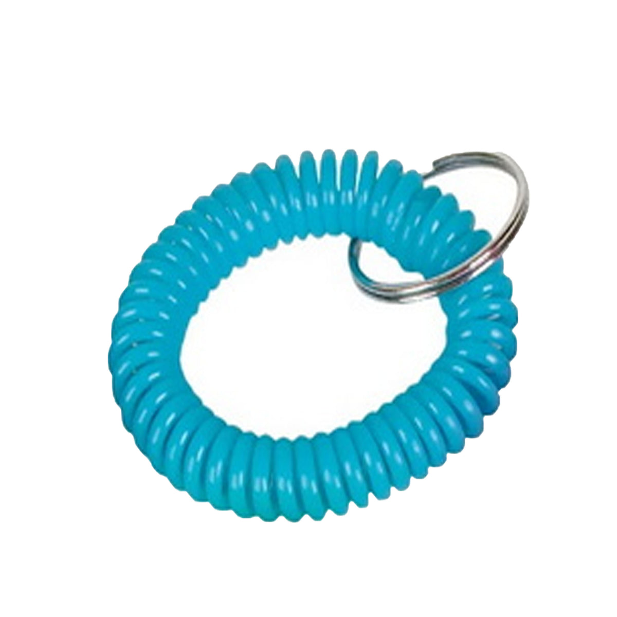 Spiral Keychain In Bulk- Assorted