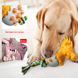 Dinosaur Chew Molar Toy