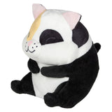 Belly Buddy Cat For Kids In Bulk