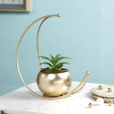 Metal Flower Vase for Home Decoration