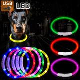 2808GP 3 Modes Dog Luminous Charge Collar Led Usb Cat Dogs Collars Detachable Night Led Glow Dog Loss Prevention Collar Pet Accessories