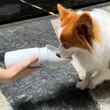 2307GP 550ml Folding Pet Outdoor Walking Mug Portable Travel Water Bottle Puppy Cats Dogs Drinking Water Dispenser Cup Supplies