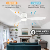 IRALAN Modern Ceiling Fan with LED Light