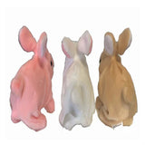 Wholesale Cute Battery Operated Walking Hopping Bunnies with Sound