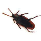 Fake Cockroaches Prank Toy For Kids In Bulk