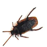 Fake Cockroaches Prank Toy For Kids In Bulk