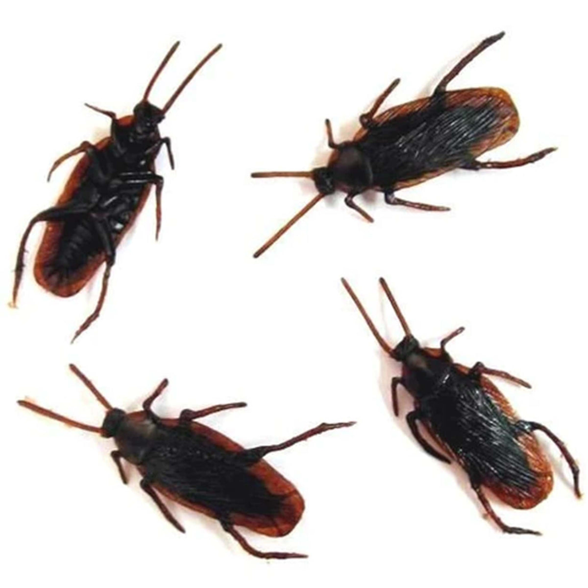 Fake Cockroaches Prank Toy For Kids In Bulk