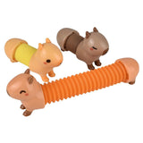 Capybara Fidget Pop Tube Kids Tube In Bulk