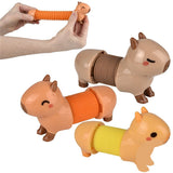 Capybara Fidget Pop Tube Kids Tube In Bulk