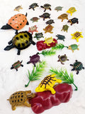 27june Artificial Marine Animal Model Turtle Turtle Tortoise Kids Toy Doll Early Education Perception Teaching Aids Landscape Furnishing Articles