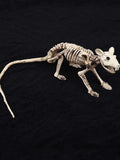 0709BA Halloween Animal Skeleton Artificial Bat Spider Lizard Room Escape Ghost House Decoration Ornaments Mouse Props