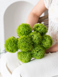 Fake/Artificial Flower Decoration Green Dianthus Indoor Living Room Decoration Accessible Luxury High-Grade Bouquet Accessories Photo Prop Decorations