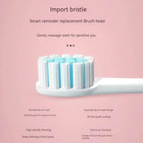 Electric USB Waterproof Toothbrush