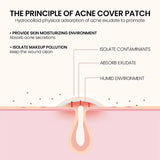 Repair Acne Patch Facial Skin Care