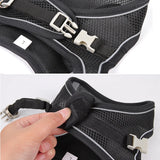 Dog Harness Adjustable Leash Set for Dogs