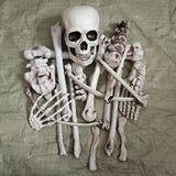 1707BA Halloween Skull Skeleton Bar Secret Room Escape Terror Decoration Props Simulated Human Skeleton Set Loose Bones Party Creepy