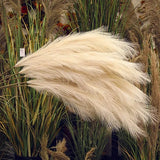 2808BA Artificial Pampas Grass 38''/97cm Tall Large Faux Pompas Grass Pompous Fluffy Fake Flowers for Vase Home Wedding Boho Decor