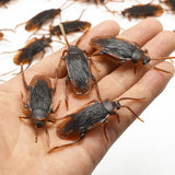 2407TA 5-50Pcs Halloween gadget Plastic Cockroaches Joke Decoration Props Rubber Toy Gags Practical Jokes Toys Plastic Bugs Cockroach