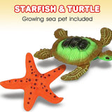 Grow Sea Animal kids toys In Bulk- Assorted