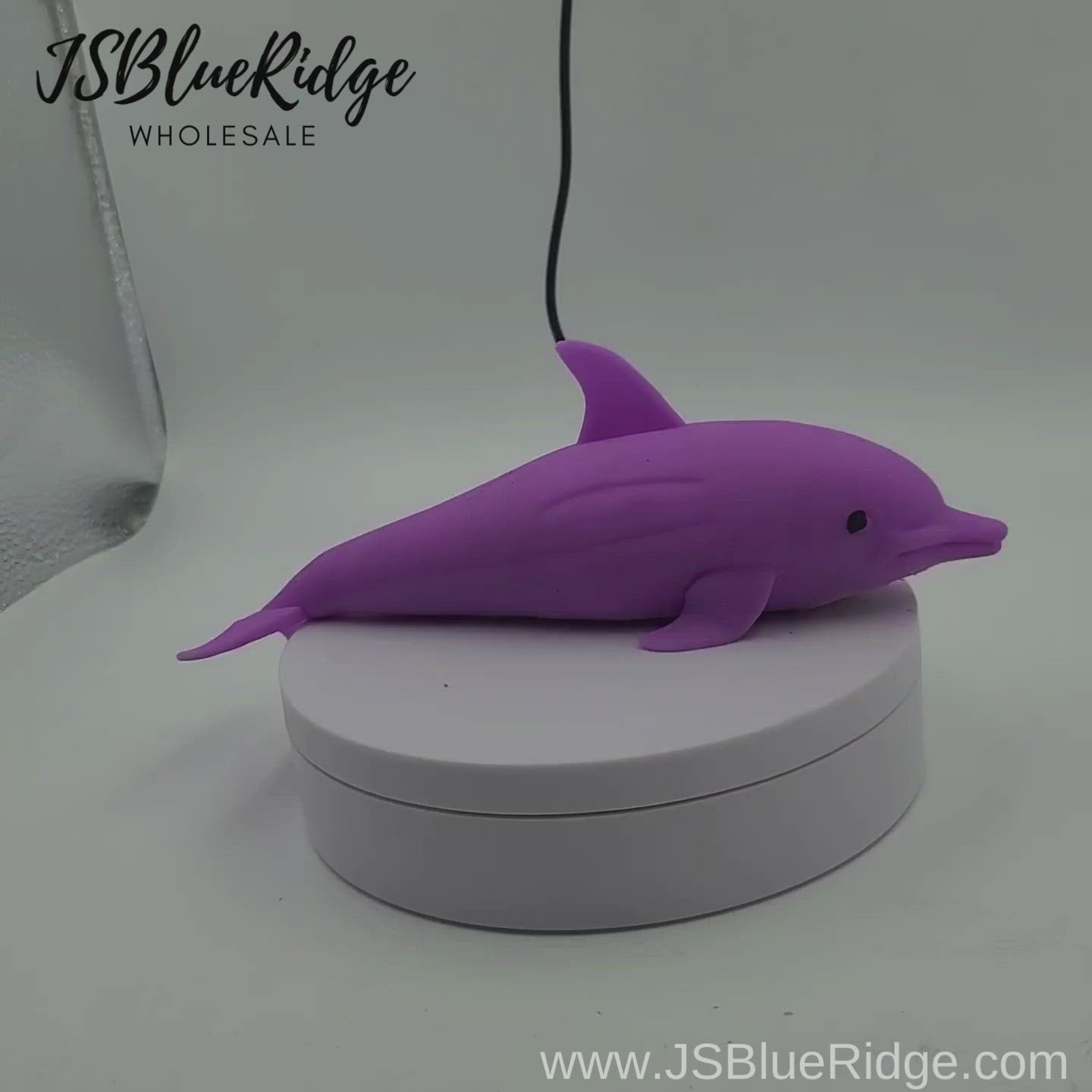 Video Of Dolphin Sand Filled Toy