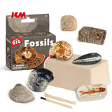 Sea Fossil Dig Educational Kit