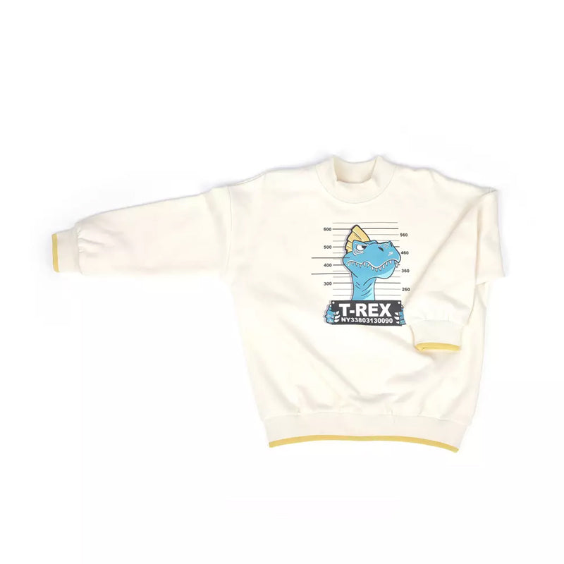 Long Sleeve Organic Cotton Carton Kids Sweatshirt