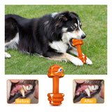 Dumbbell Teeth Cleaning Dog Toy