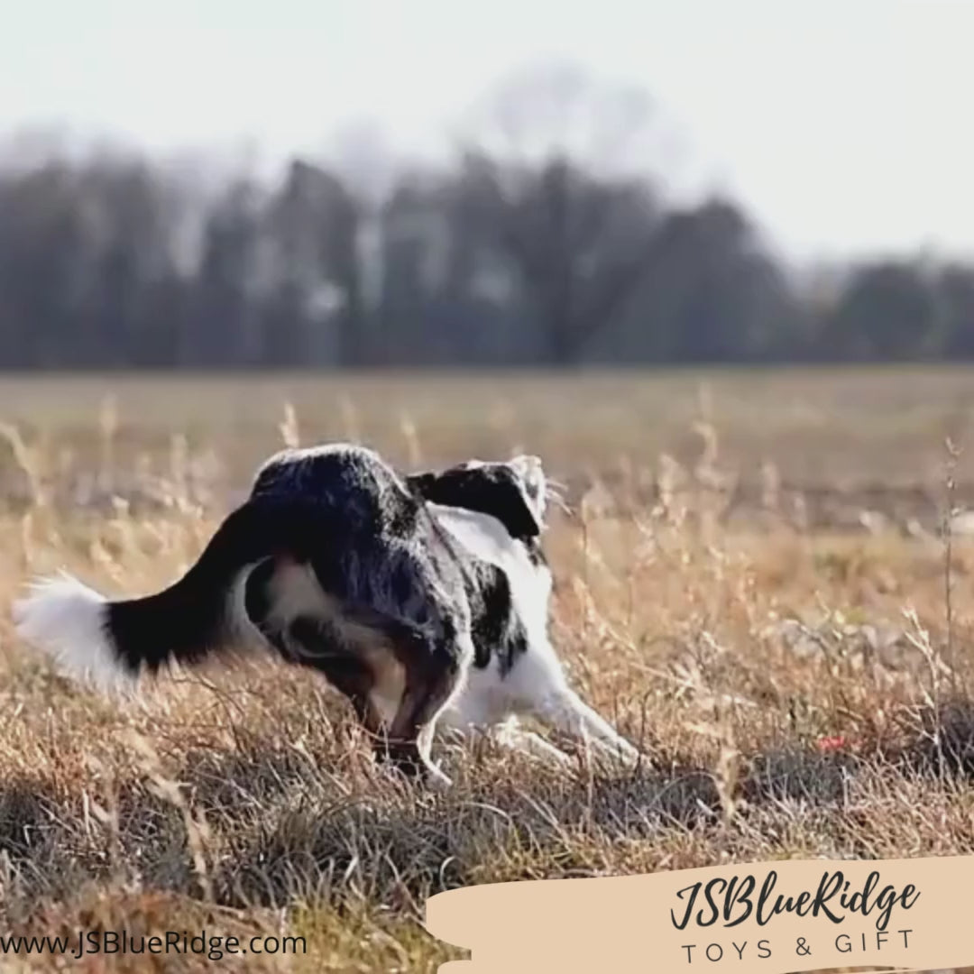 video demonstration of Fish Bone Dog Chew Toy