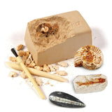 Sea Fossil Dig Educational Kit