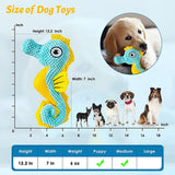 Dental Mesh Squeaky Dog Toys