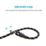 Dog Nylon Leash with Reflective