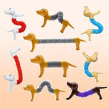  Spring Dog Pop Tube Fidget Toy