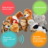 Animal Soft Plush Toys