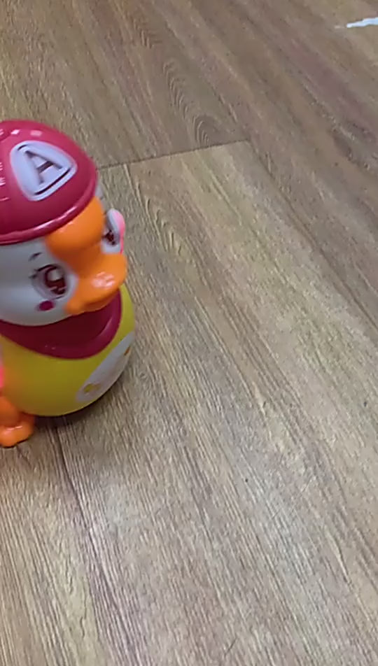 Electric Swing Duck