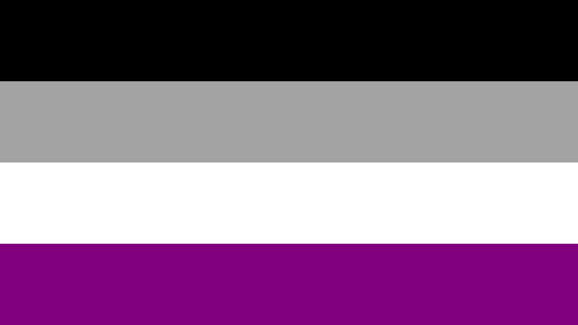 Buy ASEXUAL rainbow PRIDE 3 X 5 FLAG Bulk Price