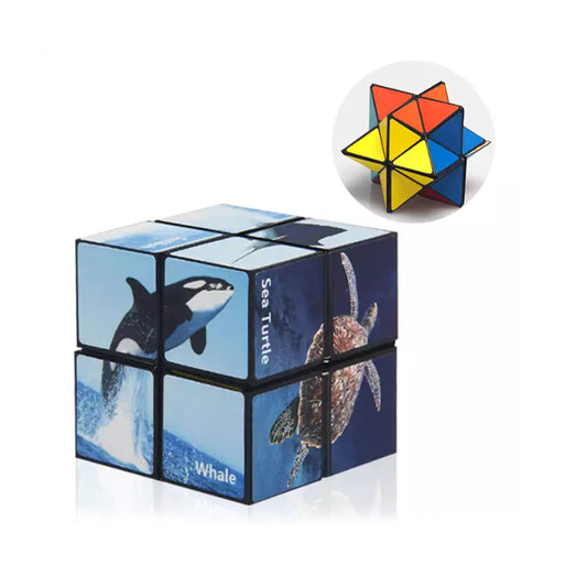 Infinity Cubes Star Puzzle Toy