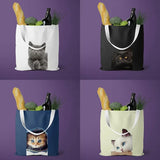 Eco Friendly Shopping Bags