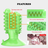 Cactus Shaped Dog Chew Toys