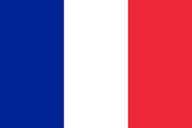 Wholesale FRANCE COUNTRY 3' X 5' FLAG (Sold by the piece)