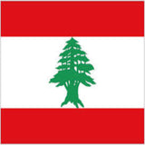 Wholesale LEBANON Country 3' X 5' Flag (Sold by the piece)