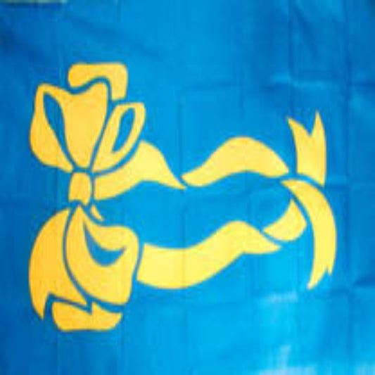 Wholesale New Flag Blue Yellow Ribbon Country Flag 3x5 (Sold by the piece)