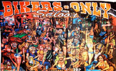 Buy BIKERS ONLY SALOON PARTY DELUXE 3' X 5' BIKER FLAGBulk Price