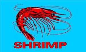 Wholesale SHRIMP BLUE 3' x 5' FLAG (Sold by the piece)