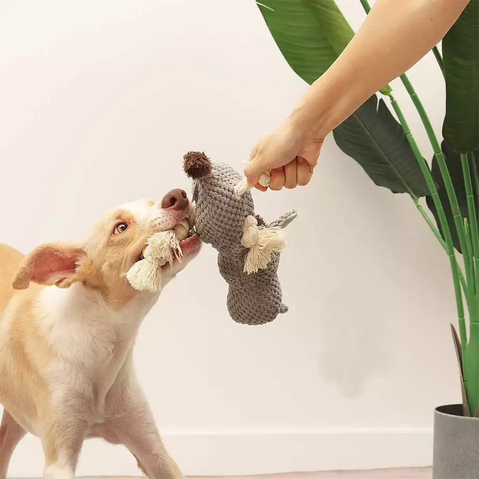 Plush Dog Chew Toys