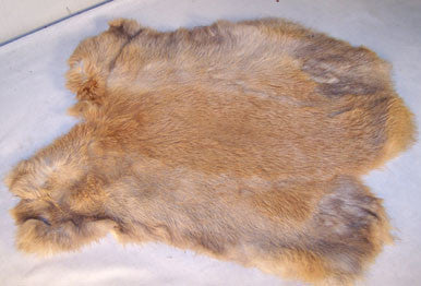 Buy BROWN NATURAL RABBIT SKIN PELTBulk Price