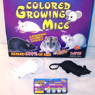 Wholesale MAGIC JUMBO 4 FOOT GROWING TOY RAT / MICE (Sold by the dozen) -* CLOSEOUT NOW ONLY 50 cents  EA